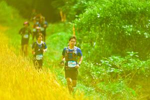 BIB: 1010
                            <button type="button" onclick="openModal(13456741)" class="btn btn-primary btn-sm float-right btn-popup" data-toggle="modal" data-target=".modal-high-quality">
                        <i class="fas fa-shopping-cart"></i> Add to Cart
                    </button>
                                            <button type="button" onclick="isThisMe(13456741, true)" class="btn btn-success btn-sm float-right btn-popup btn-isme hidden" data-toggle="tooltip" data-placement="bottom" title="นี่คือรูปของคุณใช่ไหม คลิกที่นี่เพื่อเอาเข้าอัลบั้ม">
                        <i class="fas fa-plus"></i> Add to album
                    </button>
                    <button type="button" onclick="isThisMe(13456741, false)" class="btn btn-warning btn-sm float-right btn-popup btn-isnotme hidden">
                        <i class="fas fa-ban"></i> Remove from album
                    </button>